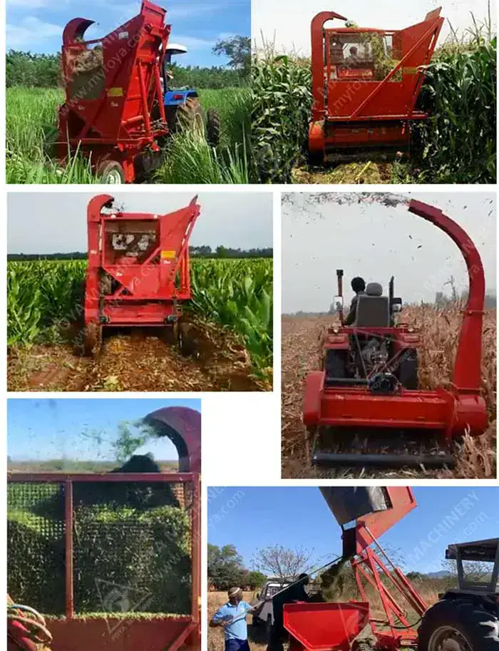 FOYA diesel mini combine harvester - diesel engine farm machinery that needs troubleshooting when it won't start