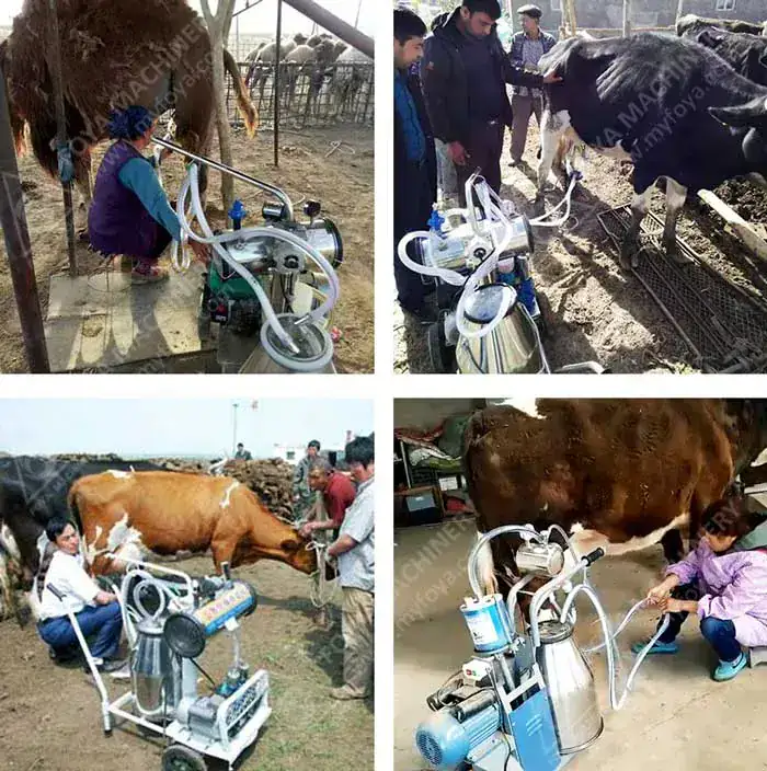 FOYA peanut sheller — electric groundnut shelling machine with air blower for clean kernels