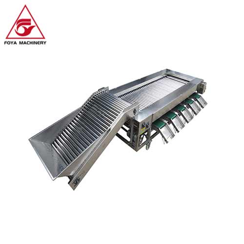 FOYA Fruit & Vegetable Grader