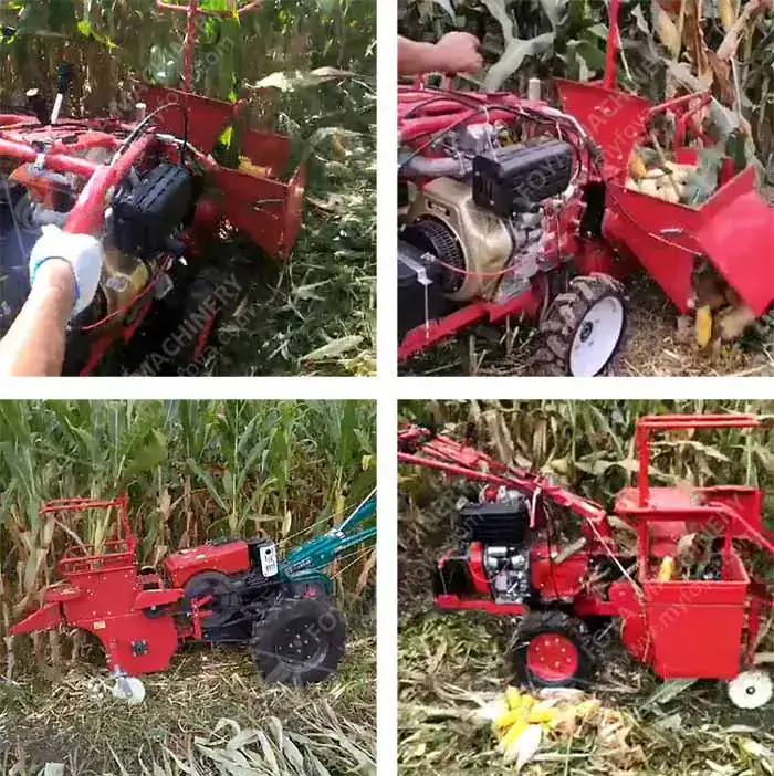 FOYA Tractor Mounted Rice Reaper in paddy field harvesting rice