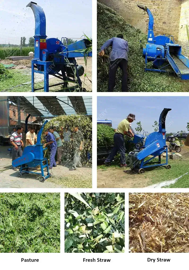 FOYA Silage Harvester working in cornfield during harvest season - tractor driver perspective