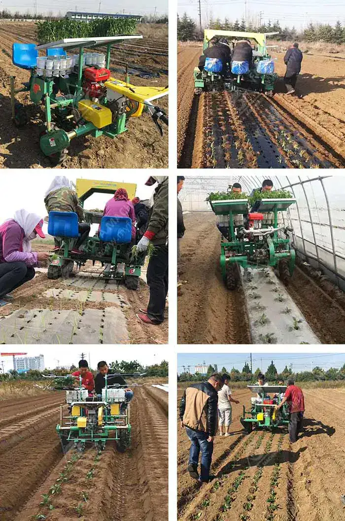 FOYA Vegetable Transplanter - View Vegetable Transplanter